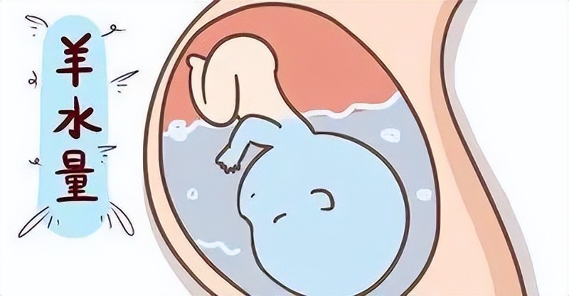 羊水从哪儿来？有什么作用？孕妇必知关于羊水那些事儿
