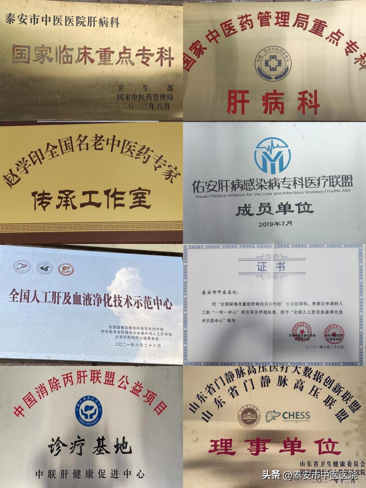 医心向党踔厉奋进直播,医心向党致敬医师节