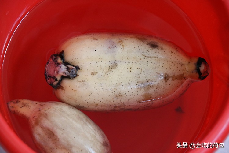 各种蔬菜的保鲜储存方法,各种蔬菜的储存保鲜方法