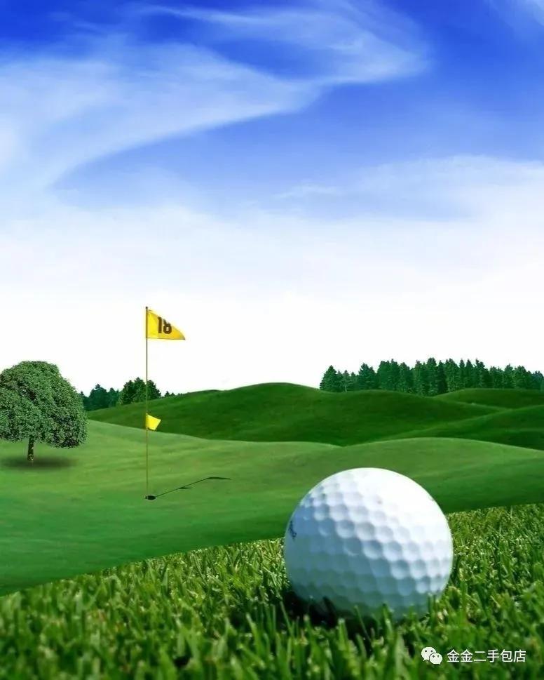 初级高尔夫球员用什么杆比较好,高尔夫业余选手应该都有什么杆