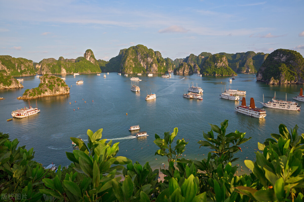 越南旅游签证最新通知,越南3月15号开放旅游签证