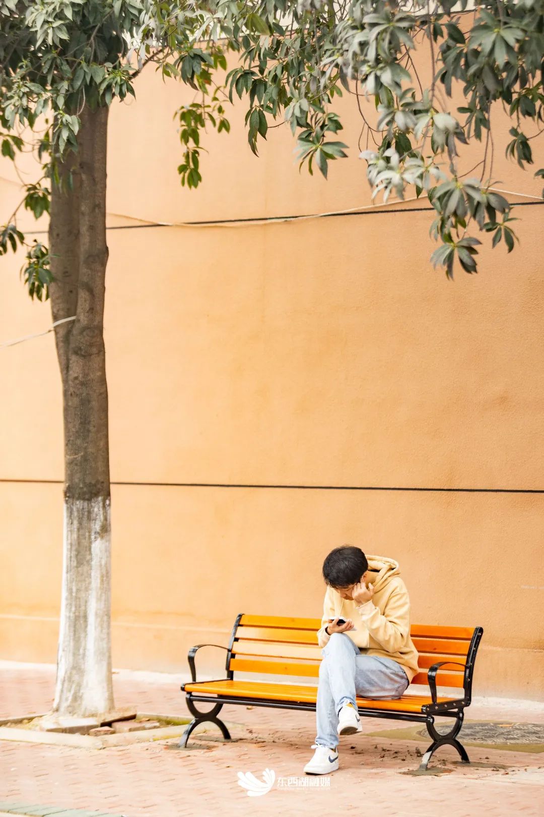 调查问卷发放情况报告,调查问卷100份