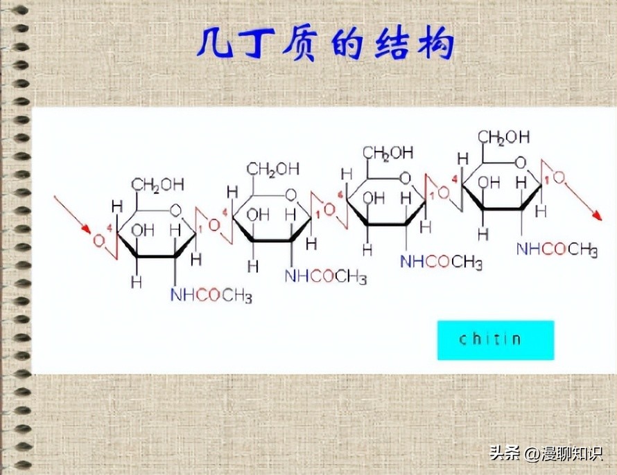 几丁质在水产的作用与功效,几丁质酶的本质