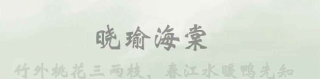 现在的韩红是怎样的一个人,明明可以靠实力却偏偏靠运气