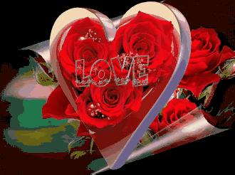 520送你最美的玫瑰花,520把最美的祝福送给幸福的你