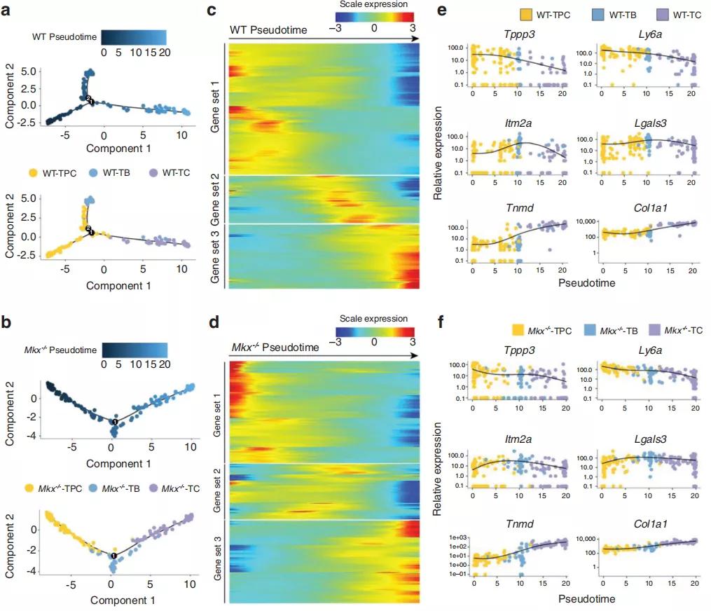 异位骨化的研究进展,肌萎缩侧索硬化症新药研究进展