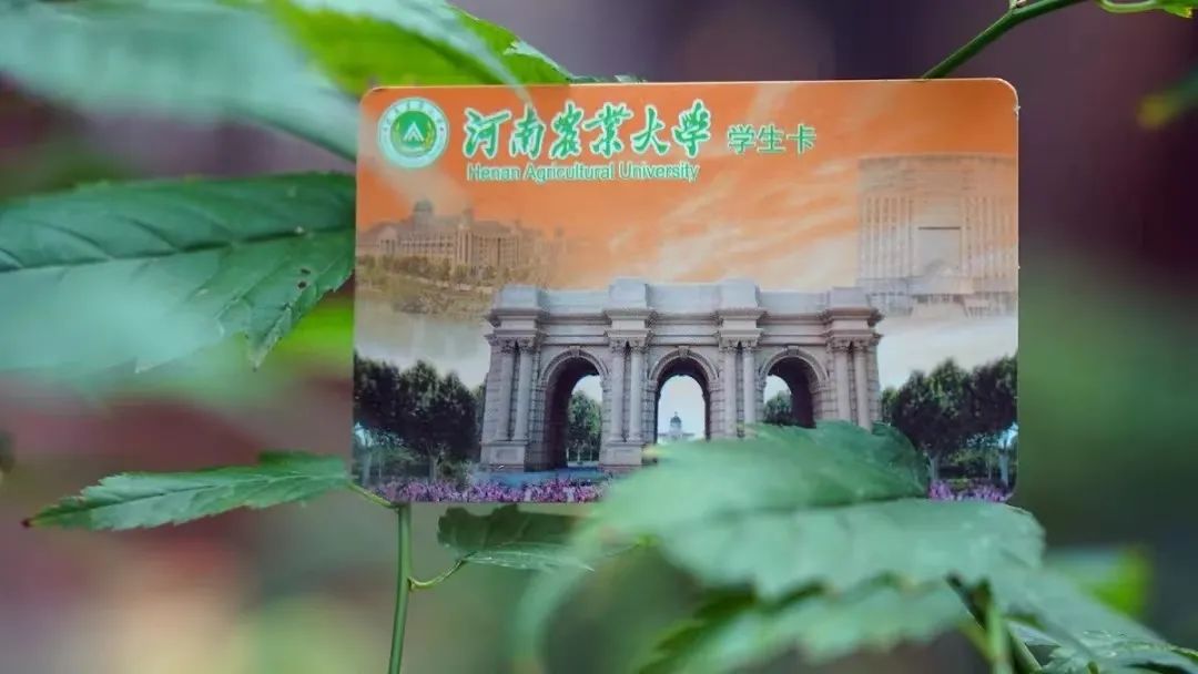 为什么总是推荐校园卡,优卡校园卡好用吗