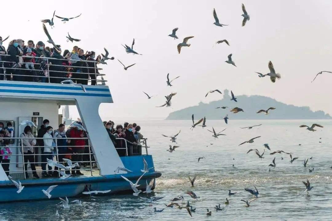 为什么无锡人均gdp比上海高,无锡人均gdp为什么那么高