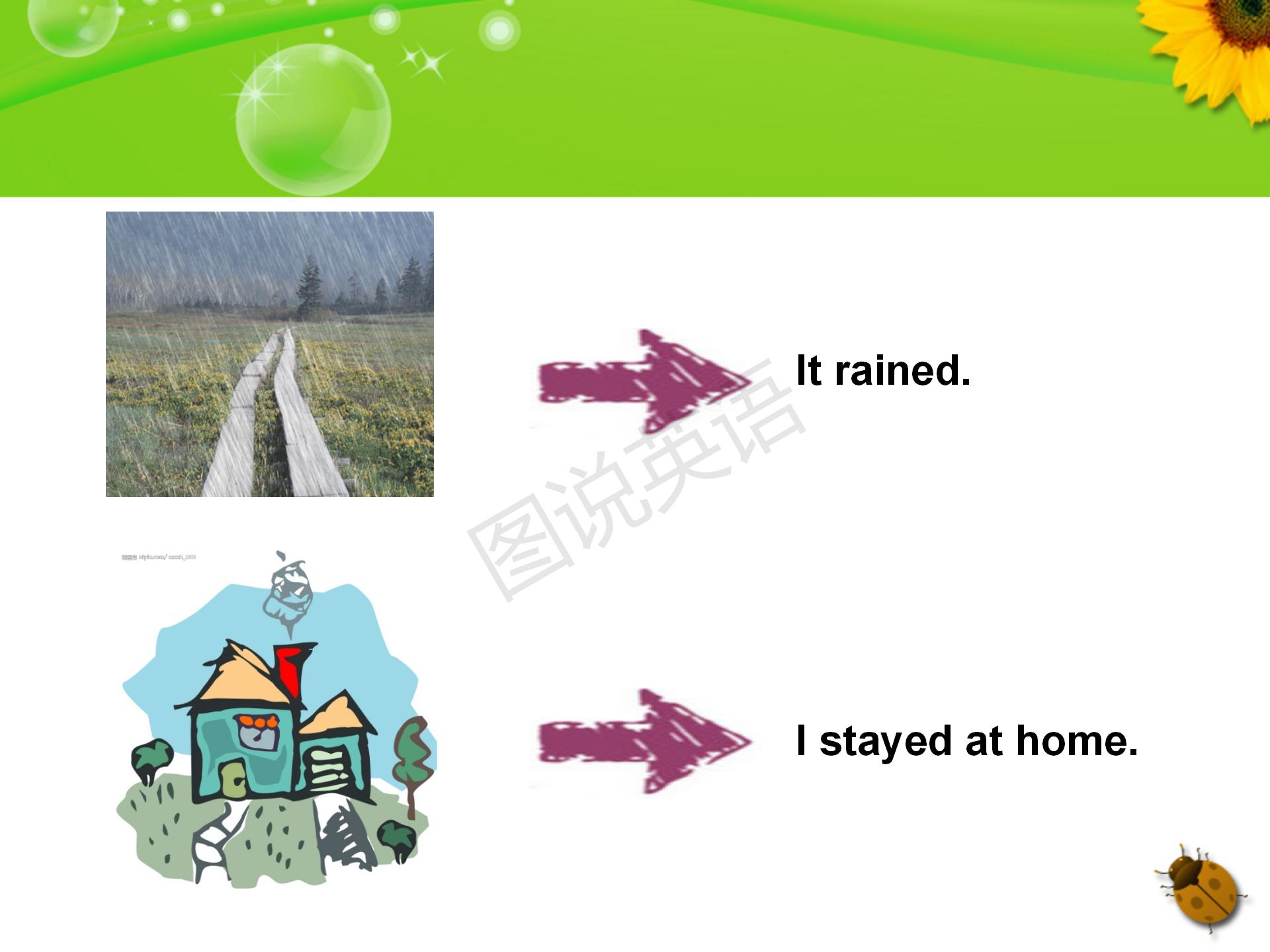 新概念英语入门级句型,新概念英语主格宾格