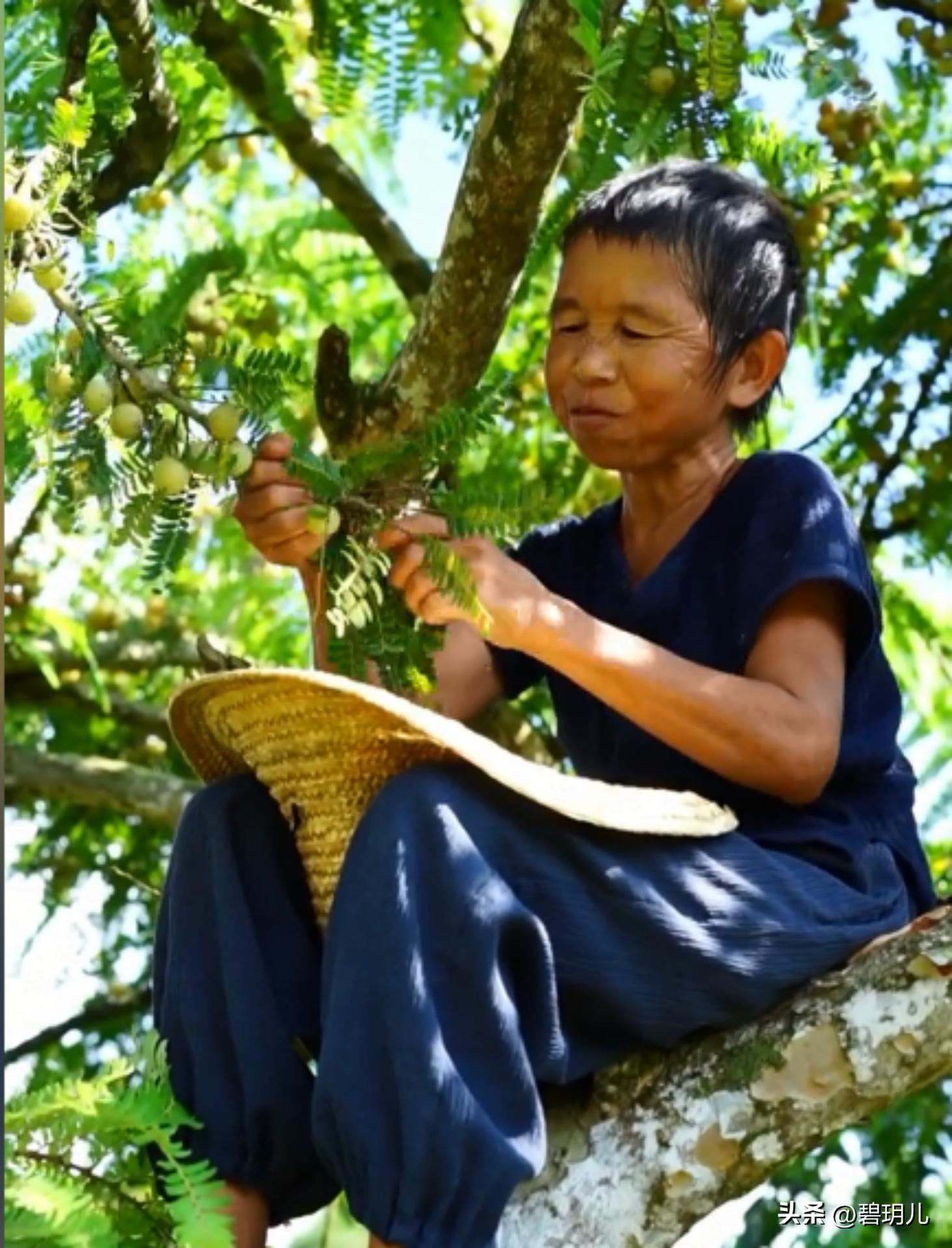 康仔农人和老小孩的最新视频,康仔和老小孩的抖音视频人间城