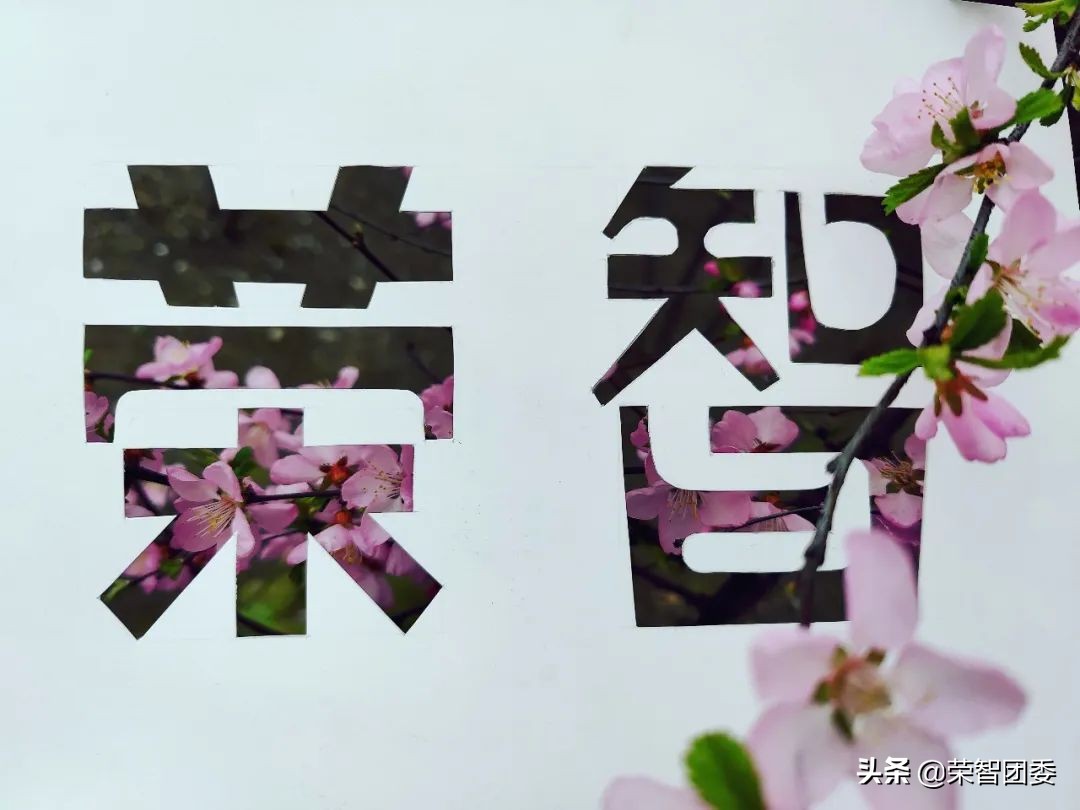 你有梦想我有舞台大奖,你有梦想我有平台招聘话术