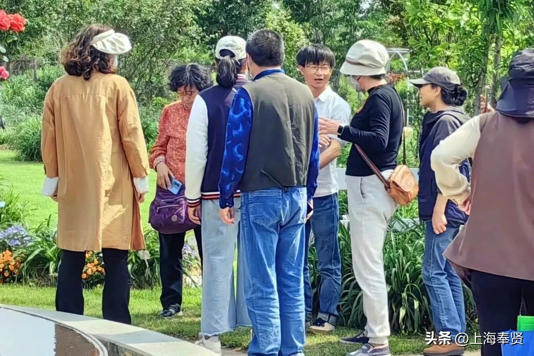 春归入夏，在萱草花盛开的日子里，致敬最美的妈妈！