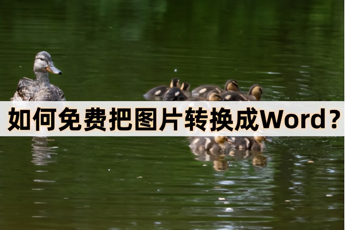 图片提取文字转换成word文档,怎么将试卷图片转换成word文档