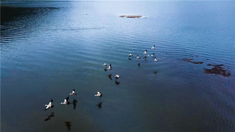 租车游玩套路,租车旅游有什么风险