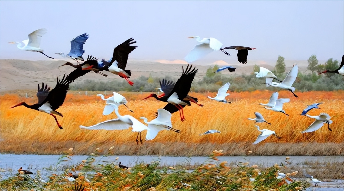 张掖小众美景,久别的家乡依然美景如画