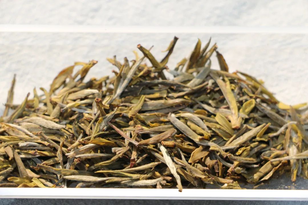 中国六大茶类和知名茶种有哪些,安徽的哪几个茶叶是中国十大名茶