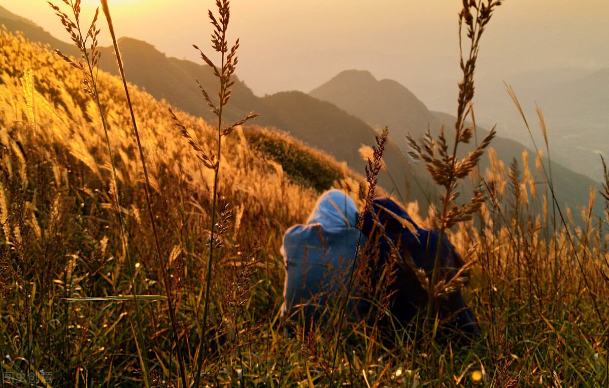 聪明的家长不再对子女催婚了,聪明的父母早就不催婚孩子结婚了