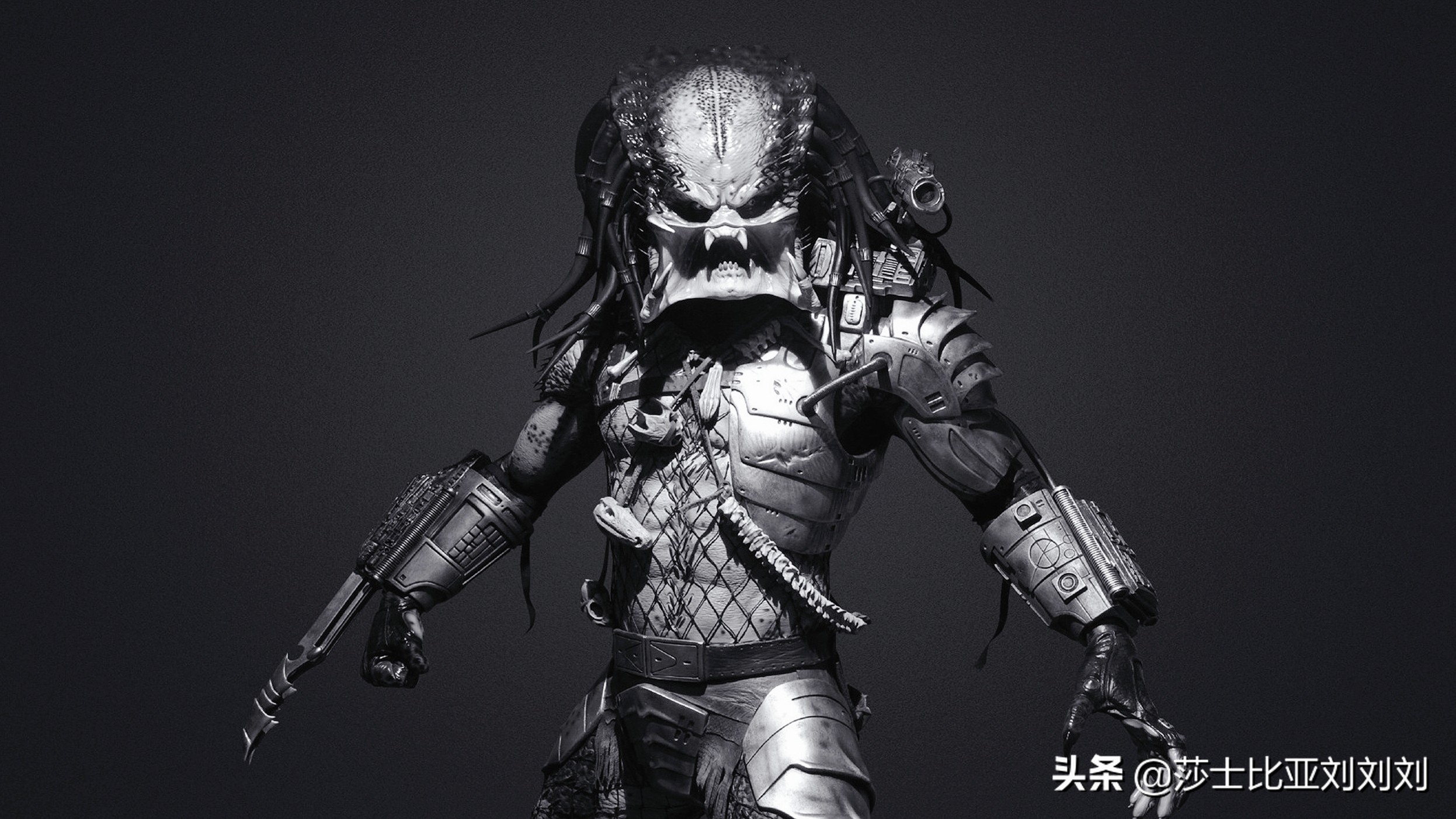 铁血军人深度解析,一口气讲完铁血战士