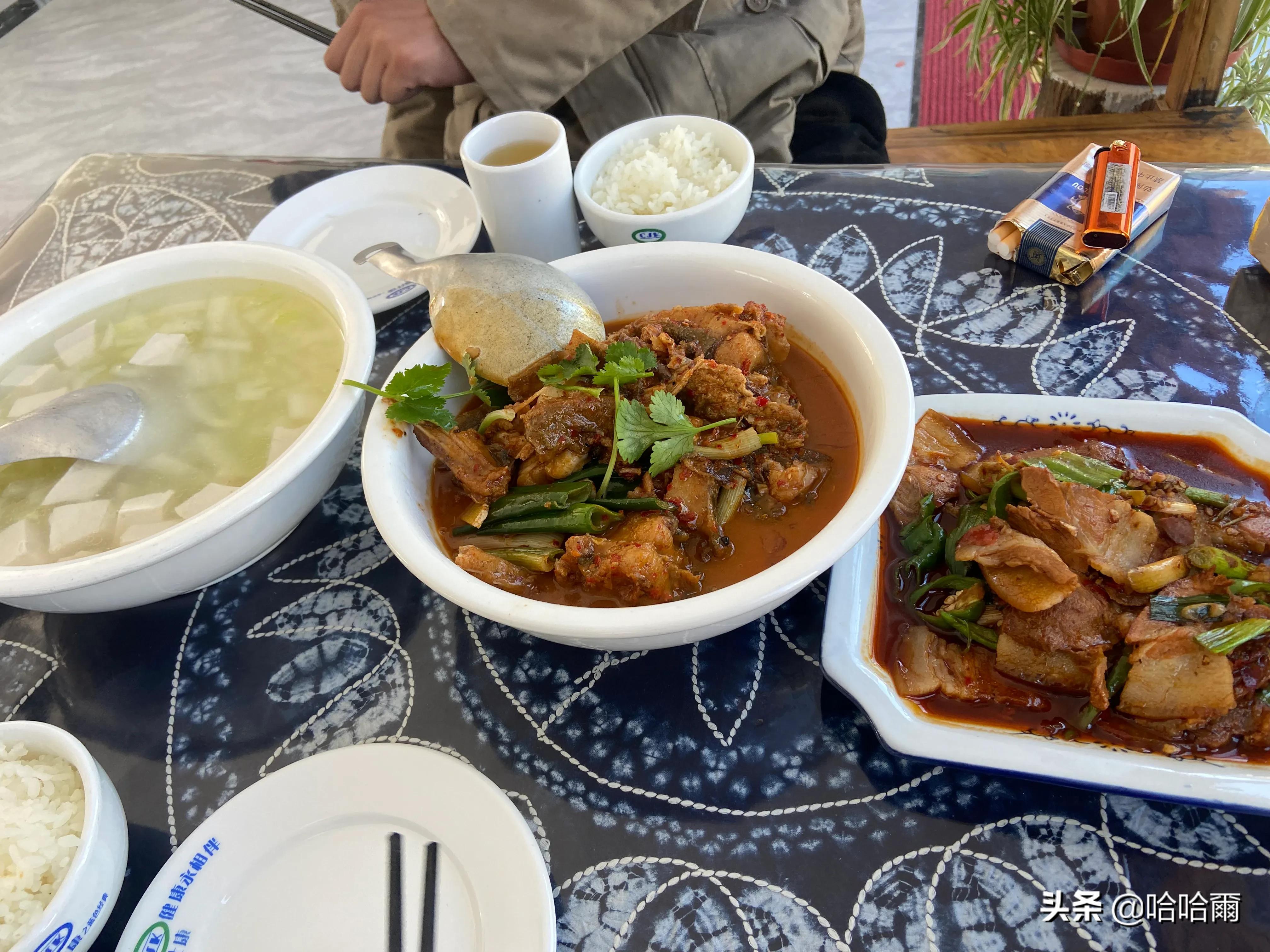 *藏西**的第二站大理