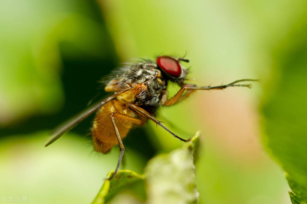 科学家教你谈恋爱？其实很简单，约她/他吃饭就行