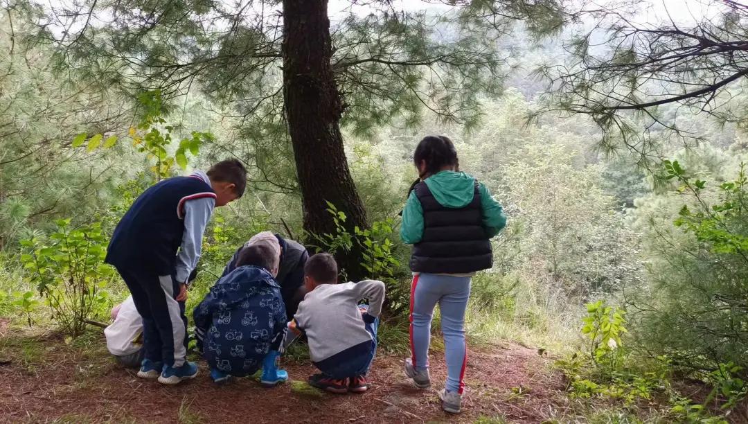 大理幼儿园环境,大理县城幼儿园