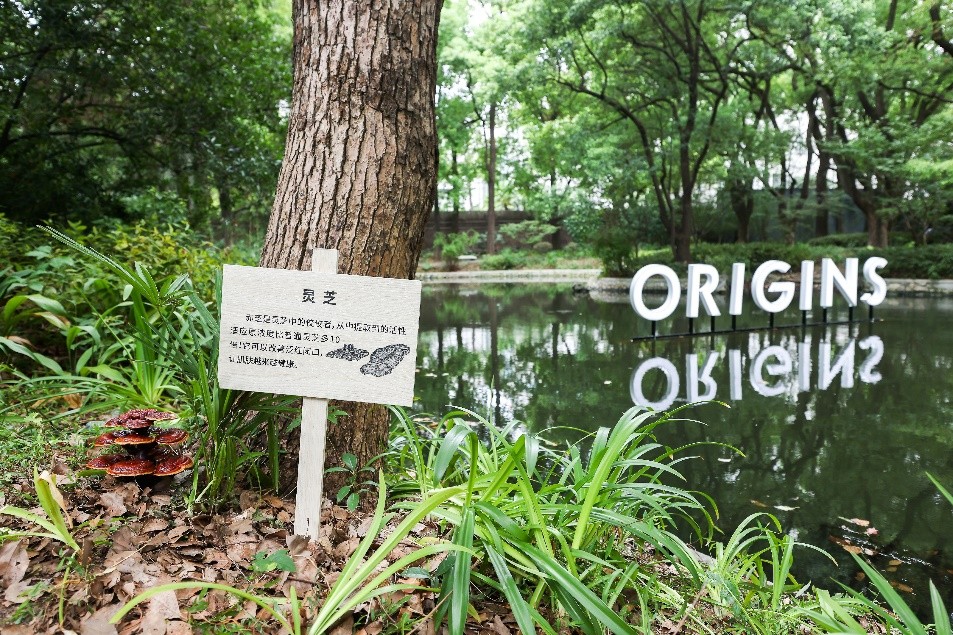 origins悦木之源护肤回购,origins悦木之源清洁面膜优惠券