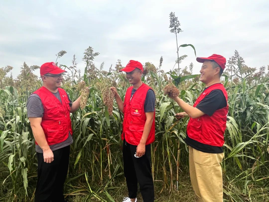 第六届中国农民丰收节,中国农民丰收节