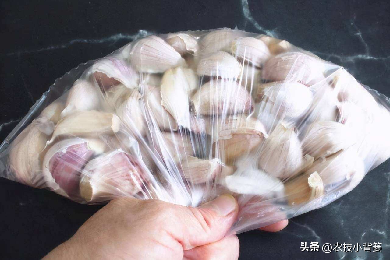 种植大量的大蒜怎么储藏,大蒜长期保鲜储存的正确方法
