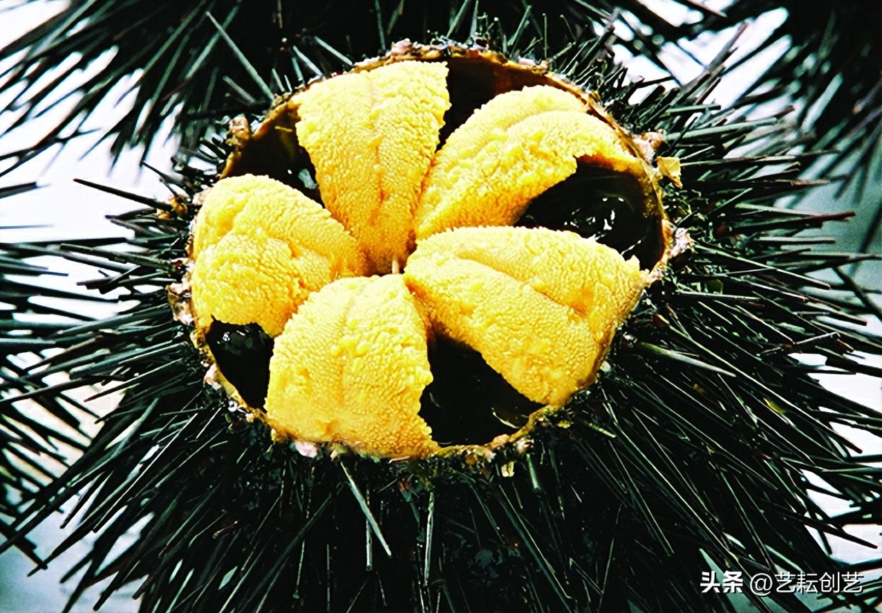 全国地理标志农产品目录系列之——辽宁省（二）