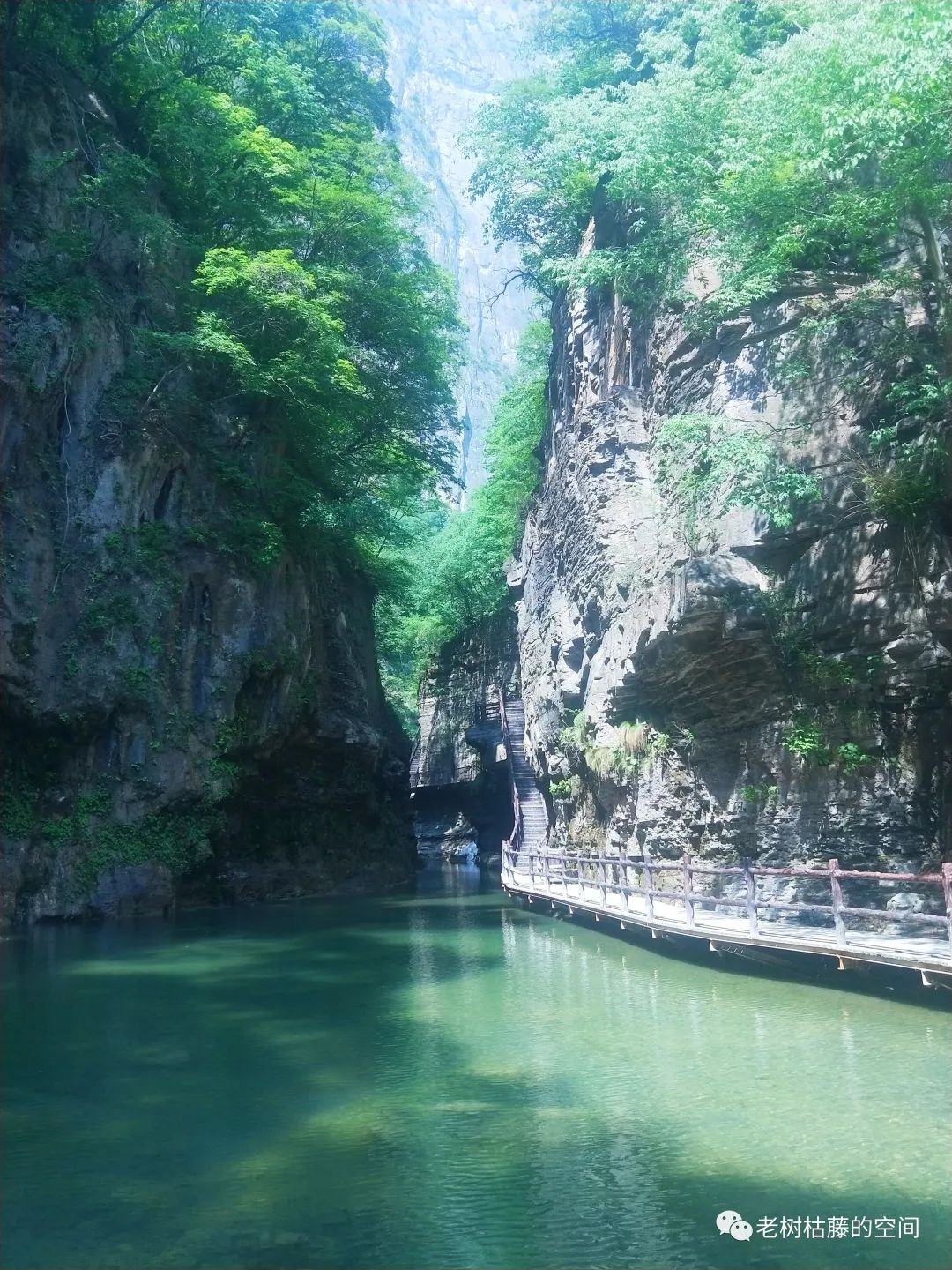 旅游的游繁体字,旅游的游踪