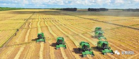 12种生态循环农业养殖模式,现代农业发展策略