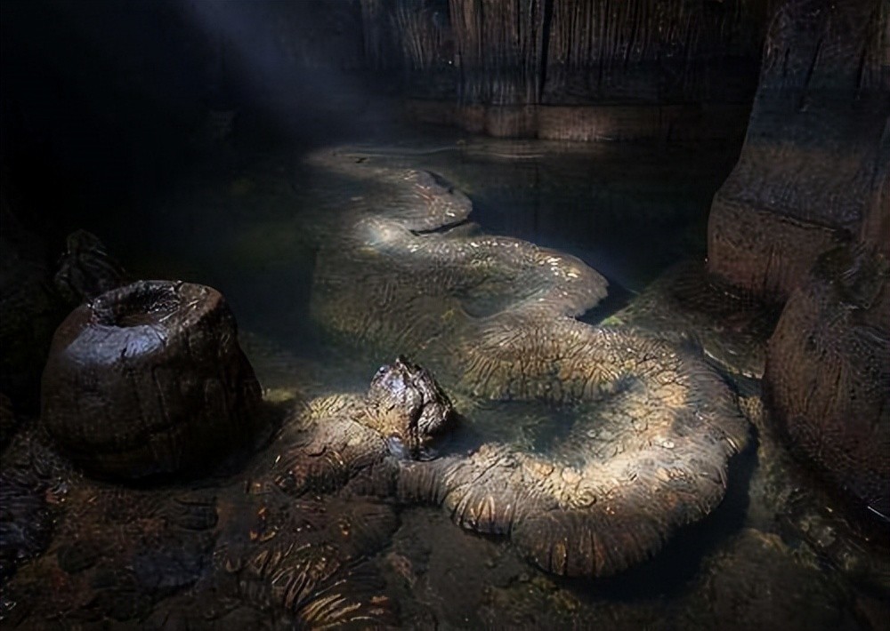 2007年高邮湖出现龙吸水奇观,高邮湖出现罕见龙吸水