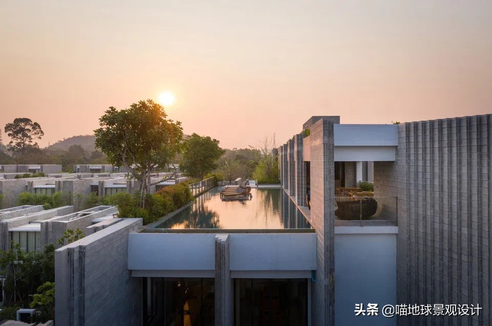 热带风情的庭院别墅,庭院大型热带风情绿植