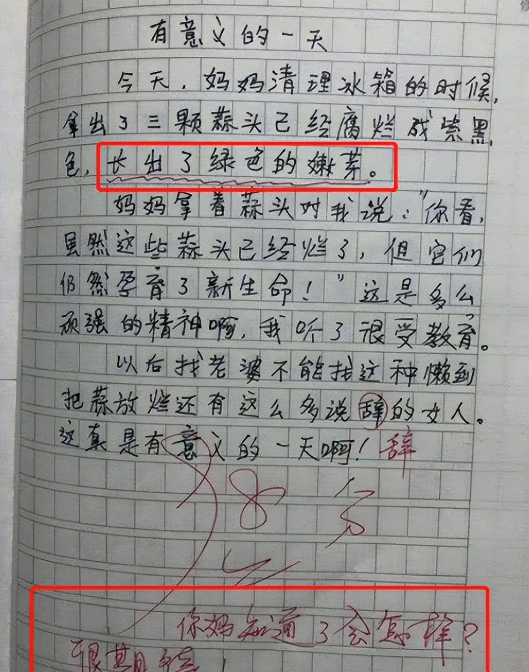 小学生作文女生,小学生作文女孩真好