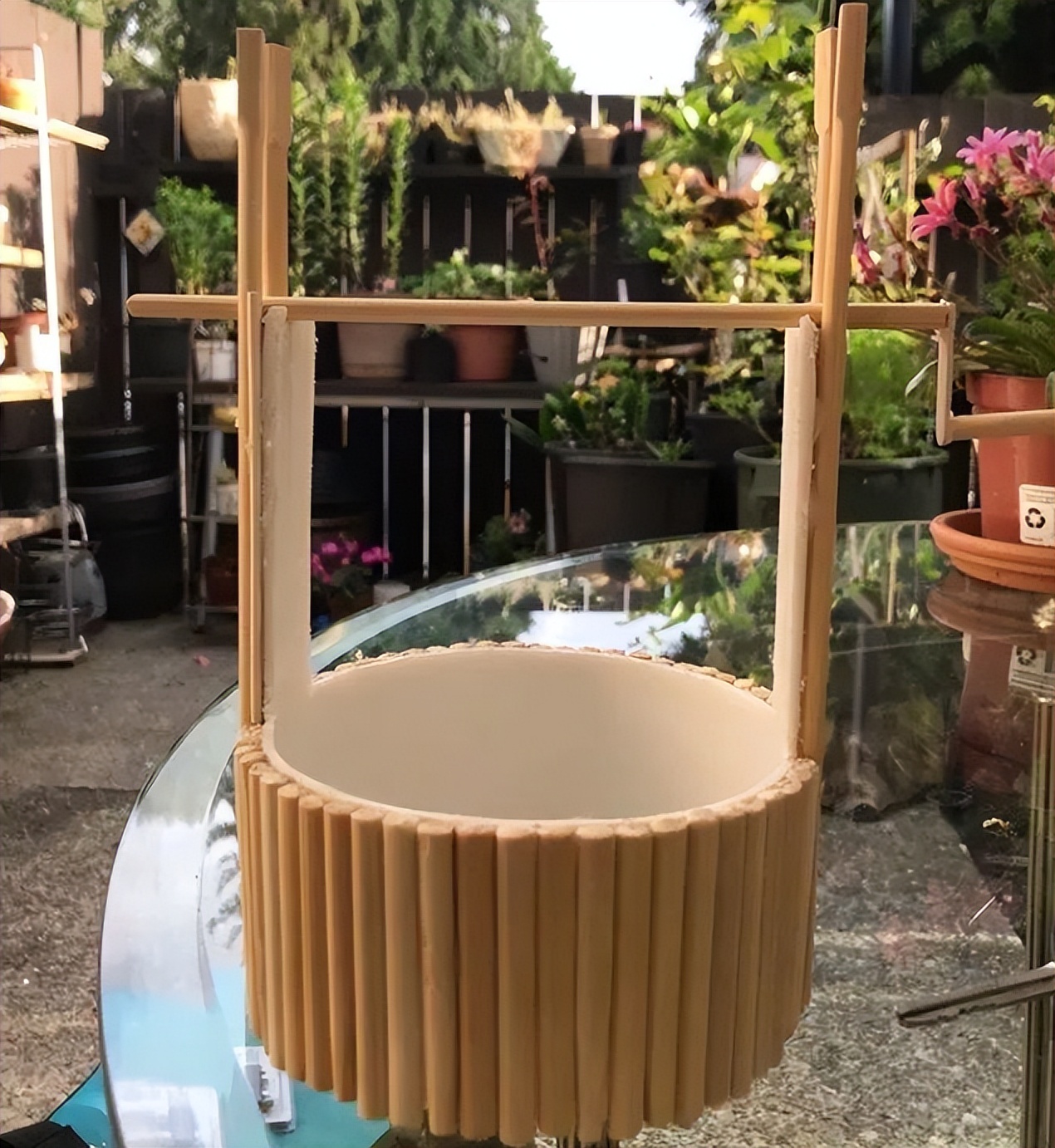 旧筷子可别当垃圾扔了,养花小技巧旧筷子再利用