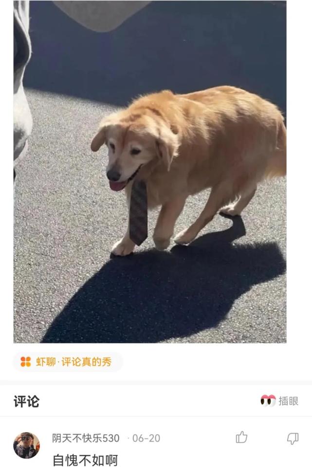 老婆坐同事的副驾驶 (老婆同事坐副驾驶)