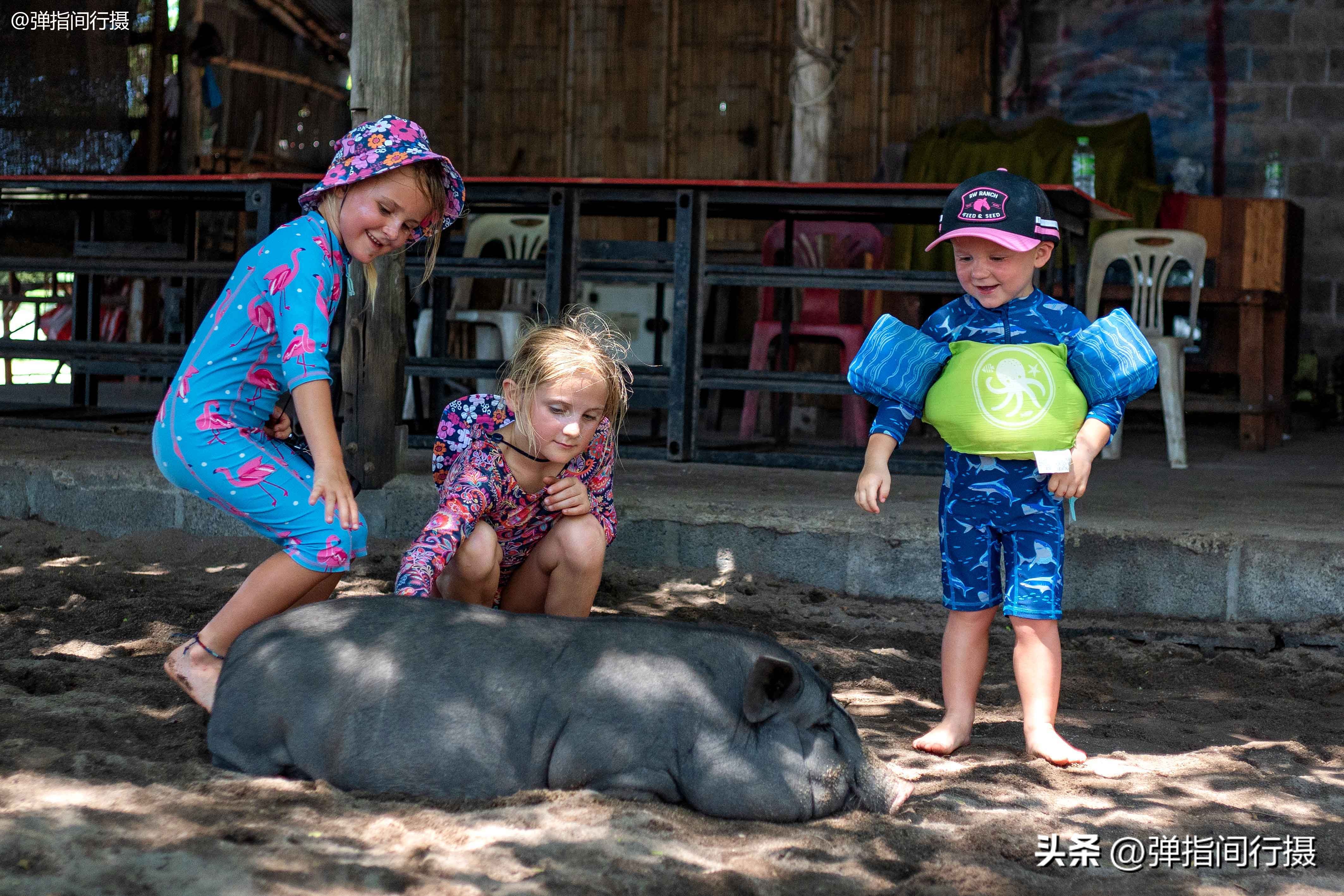 高端苏梅岛旅游攻略,苏梅岛一日游如何安排旅游