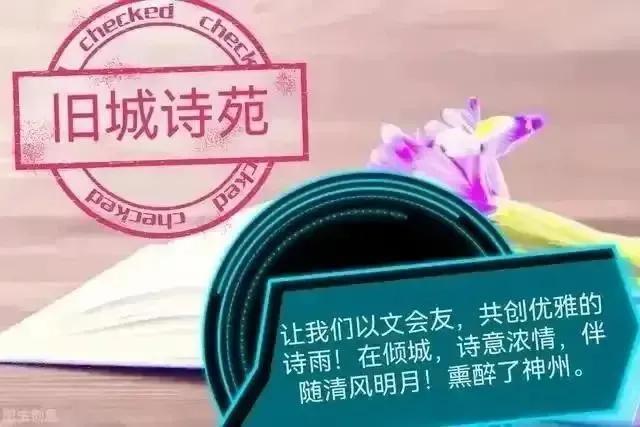 我问荷花借一叶随着涟漪来你身边我不惊动你妹妹你是夜空的星静谧