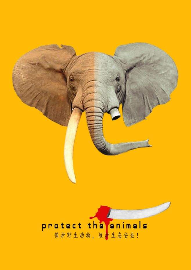 男人在路边意外捡到一只野猴子,男子捡到一只猴子带回家