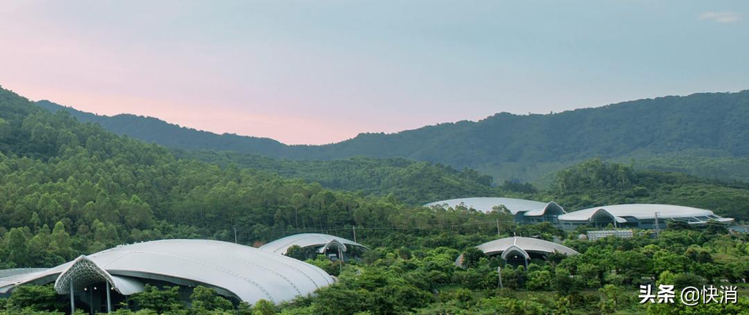 从一场球赛到“一口甘甜”,百岁山长期主义背后的民族情和民生味
