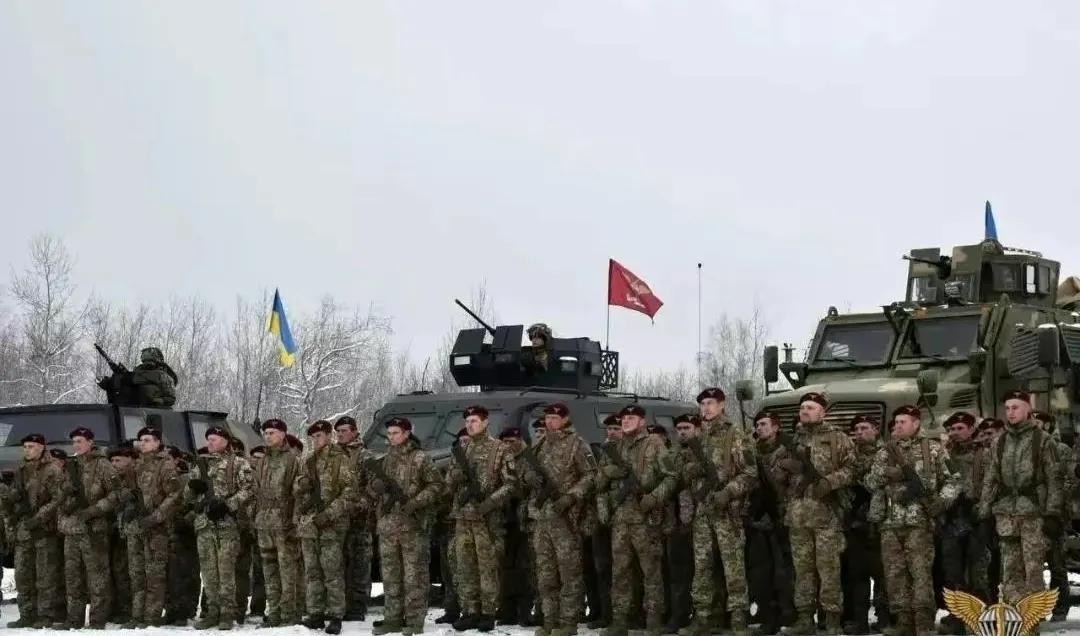 利用“闪电叛乱”，乌克兰发起强劲*攻反**,2