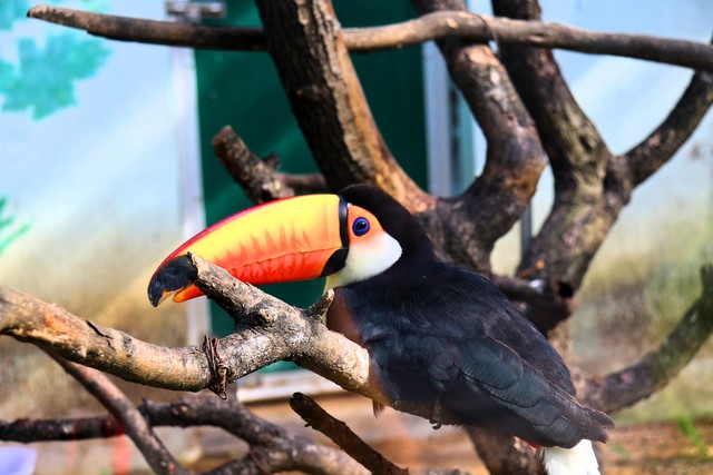 辽宁海岛旅游景点推荐,辽宁旅游攻略必去景点推荐一览表