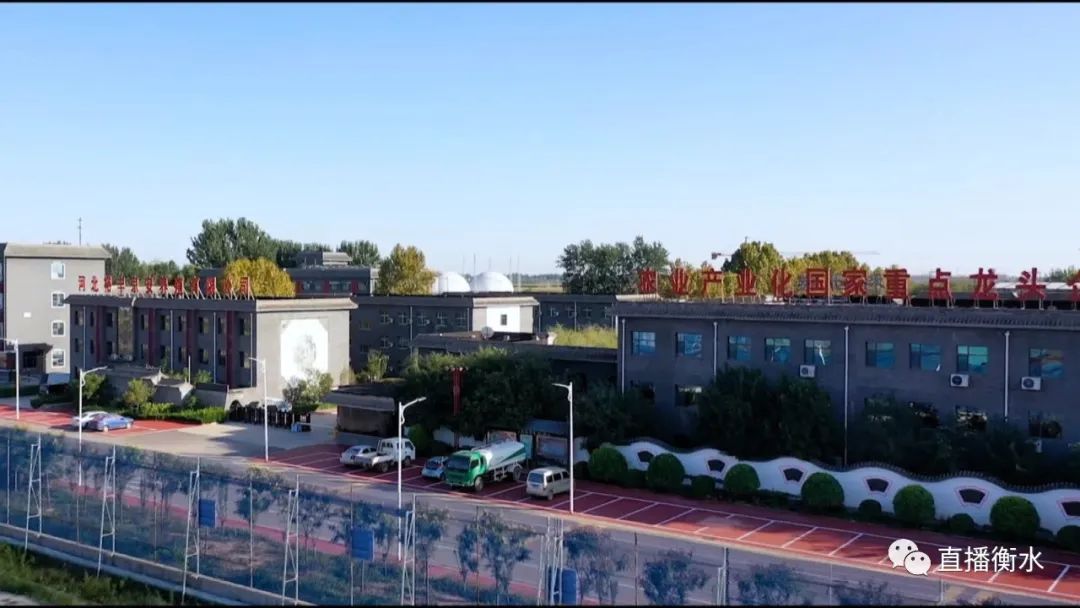 衡水市现代农业园区,衡水农业产业化助力乡村振兴