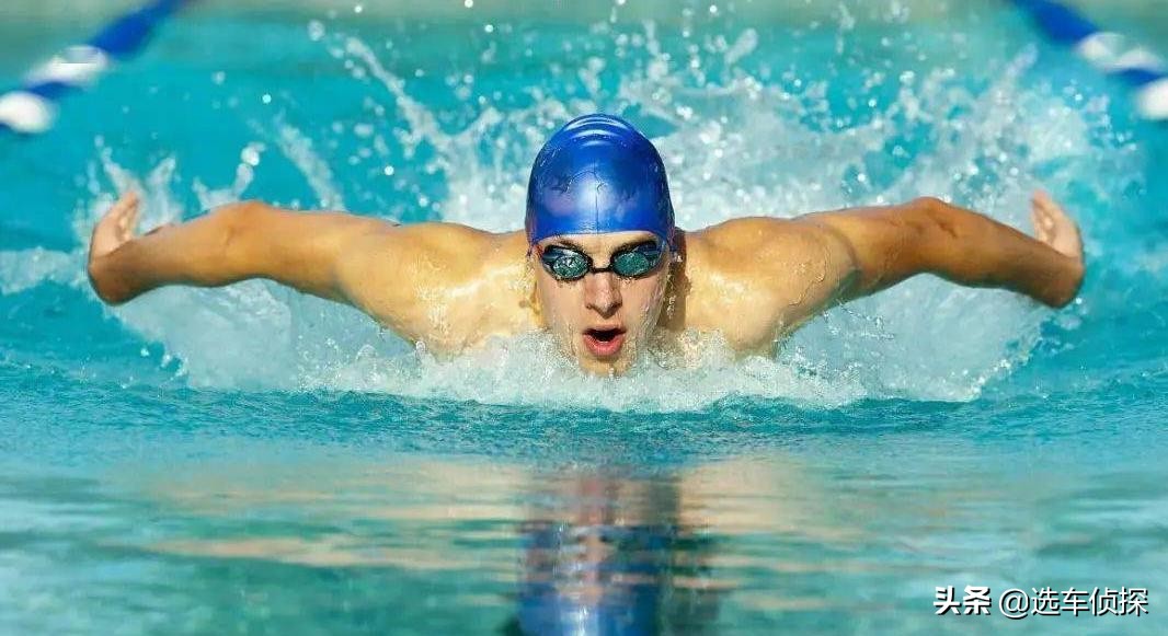 鍝堝紬澶х嫍鎵煩娴嬭瘯,鍝堝紬澶х嫍鎵煩鏄剧ず