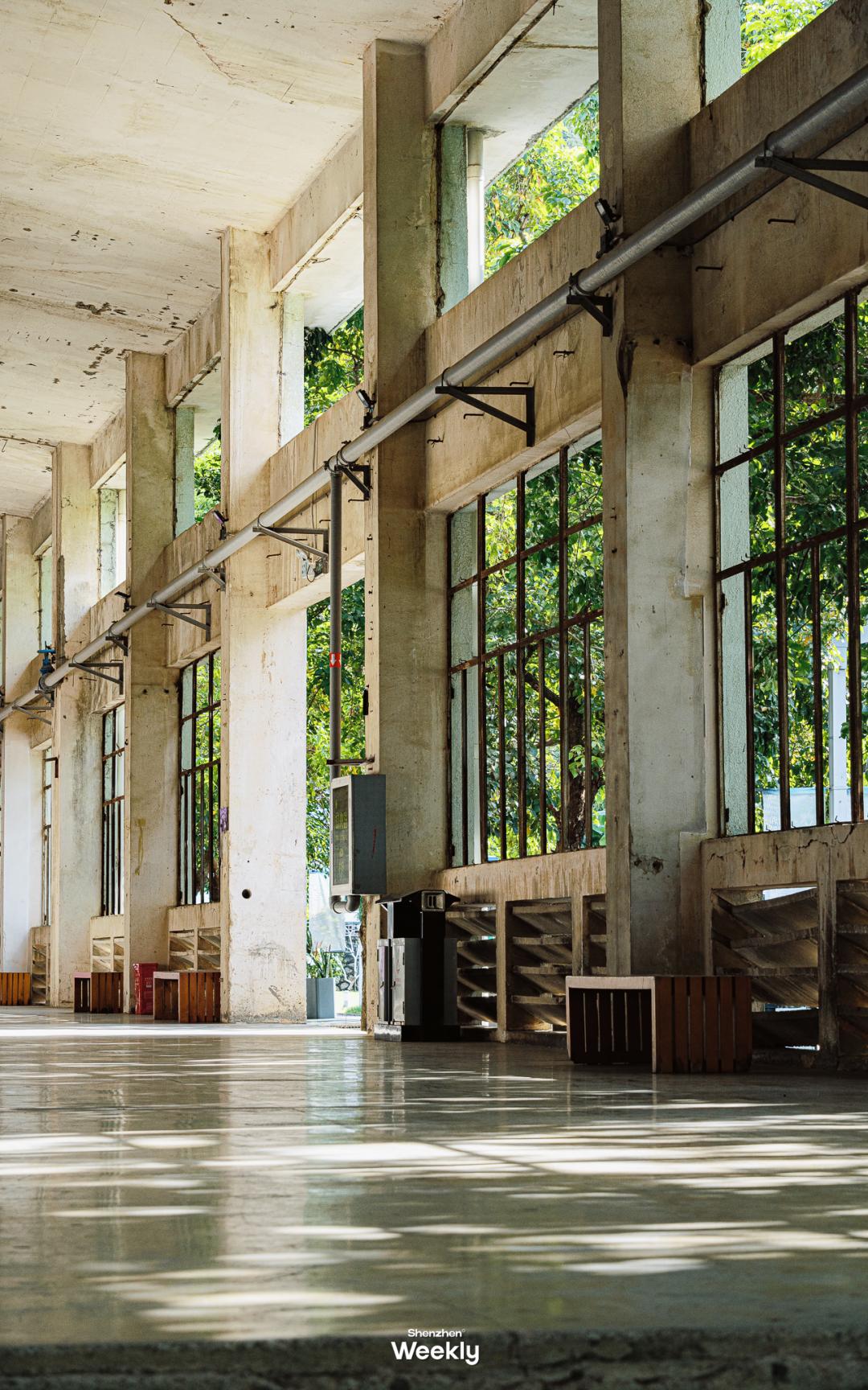 深圳玻璃海适合什么季节去,深圳适合藏玻璃海的地方