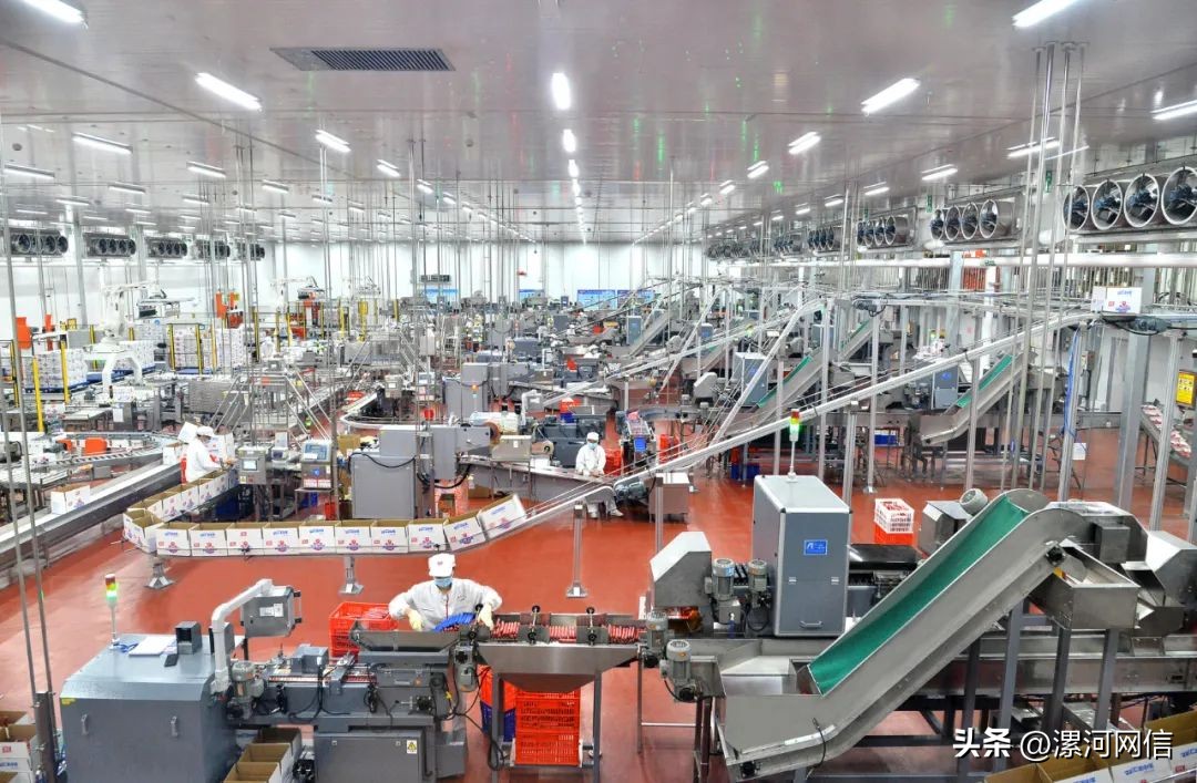 双汇有哪些肉类产品,双汇用品质打造区域第一肉类品牌