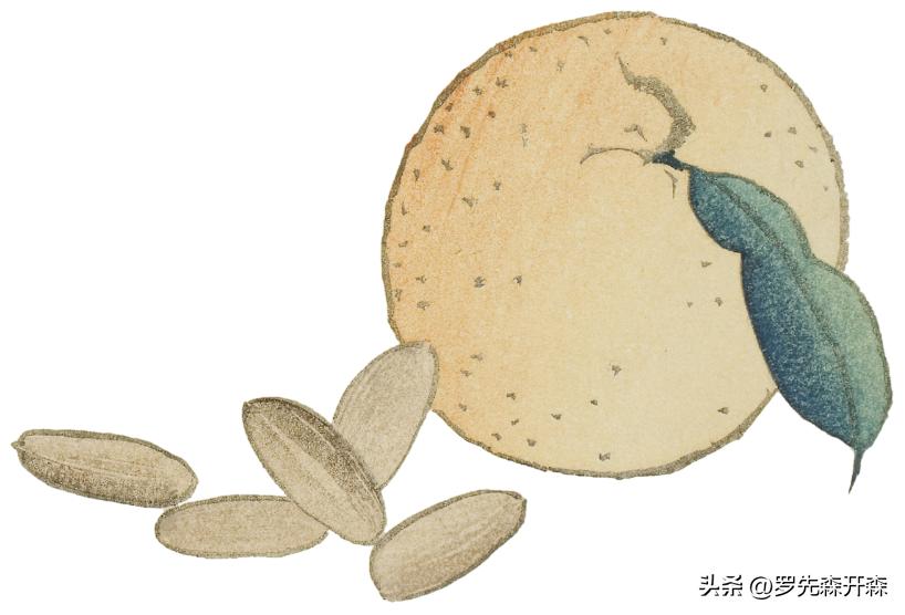 无声的陪伴小说,无声的陪伴阅读