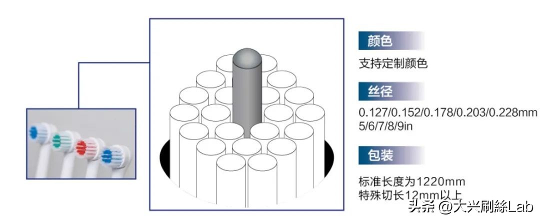 SoClean™爽洁丝 | 深层清洁,一“刷”到位!