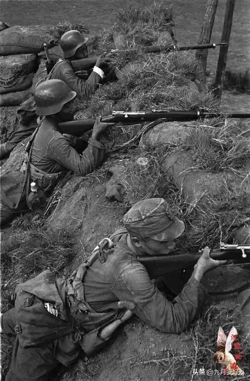 淞沪会战大溃退时的伤亡,淞沪会战溃退的德械师