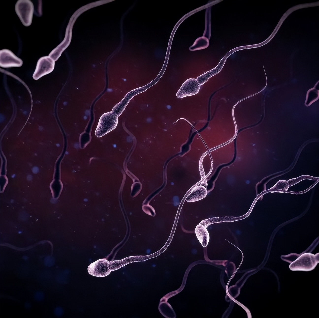 人死精子也能存活吗,人死了精子可以存活吗